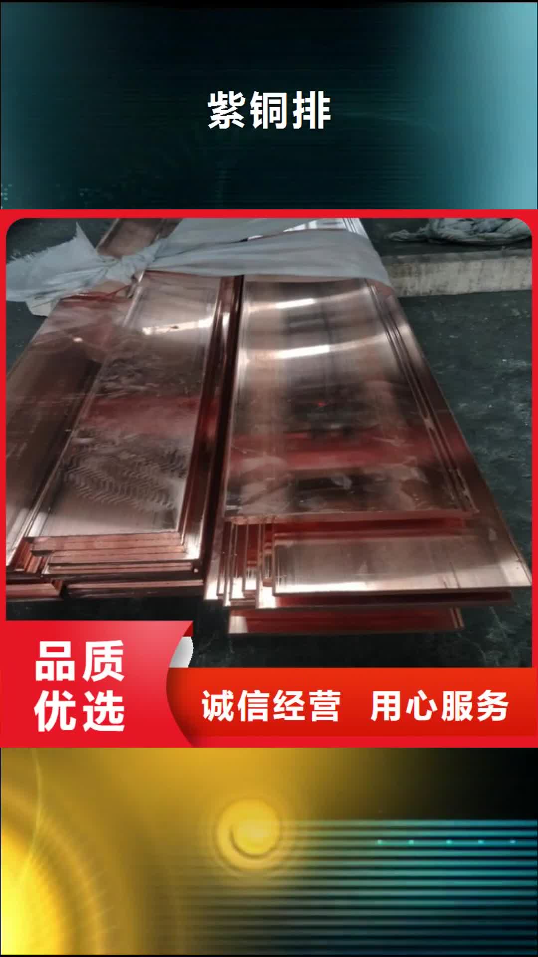 铜陵 紫铜排 【紫铜板】检验发货