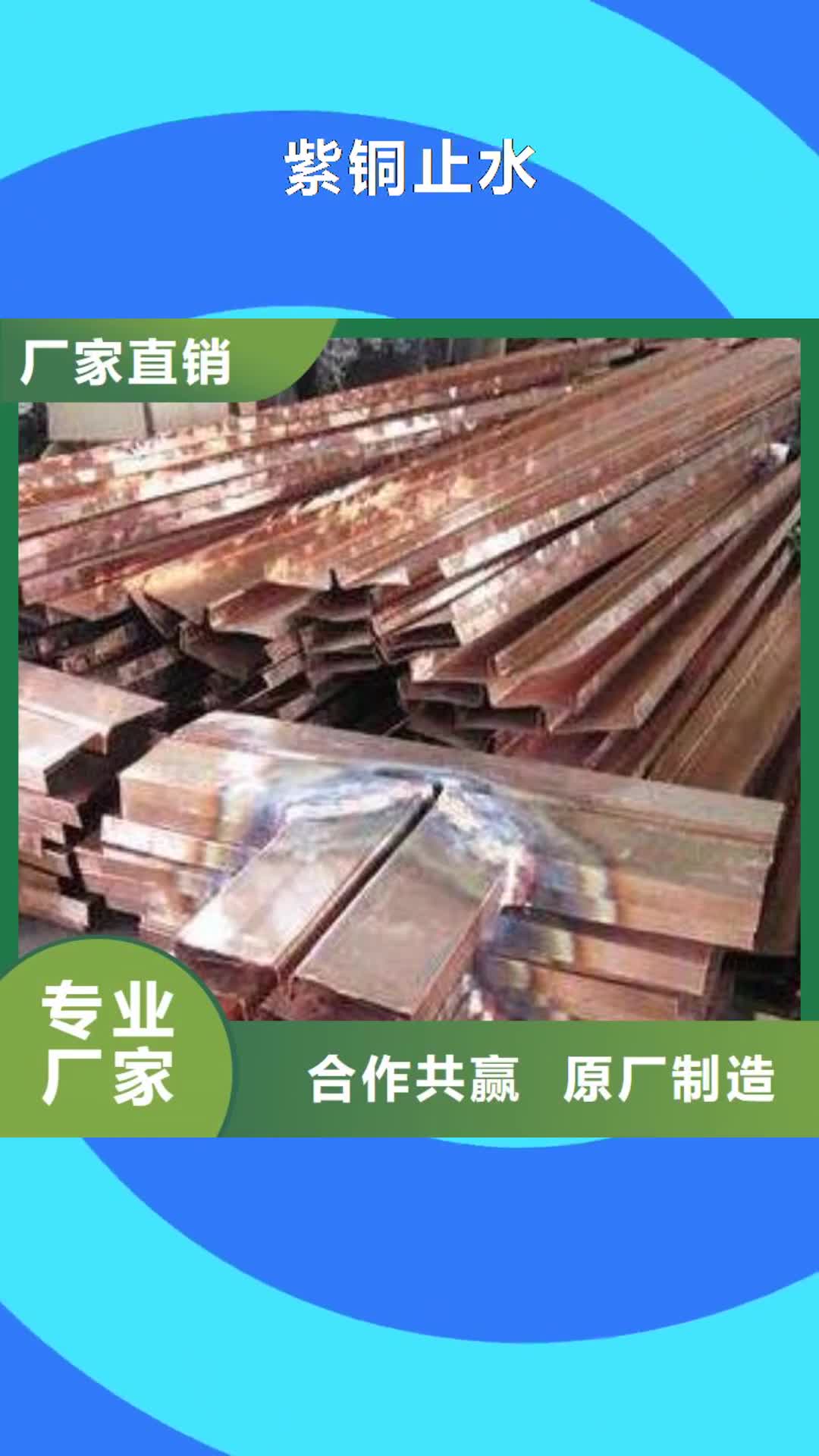 【湘西 紫铜止水_带注浆管遇水膨胀止水条货真价实】