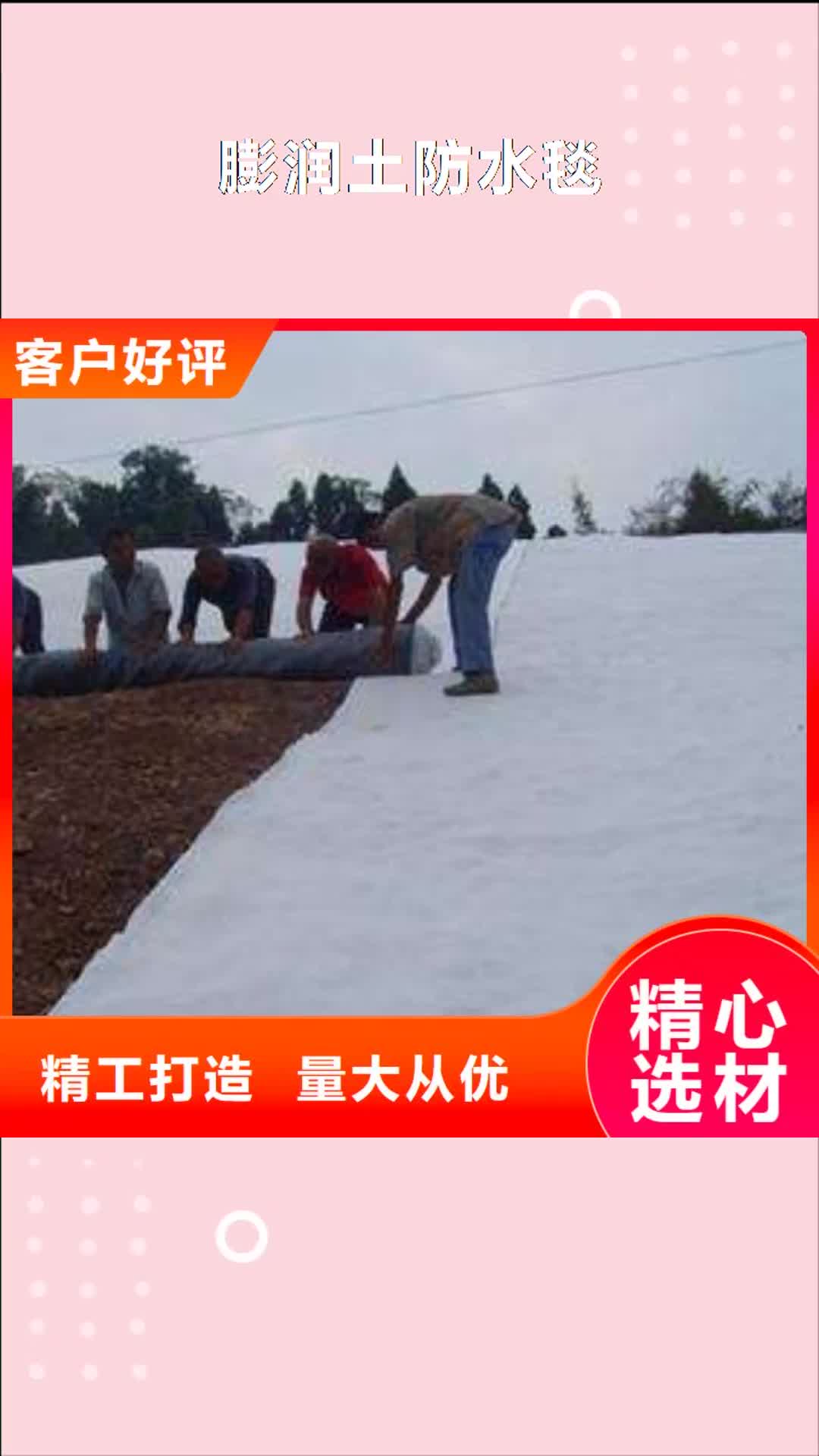 绍兴【膨润土防水毯】PP焊接土工格栅技术先进