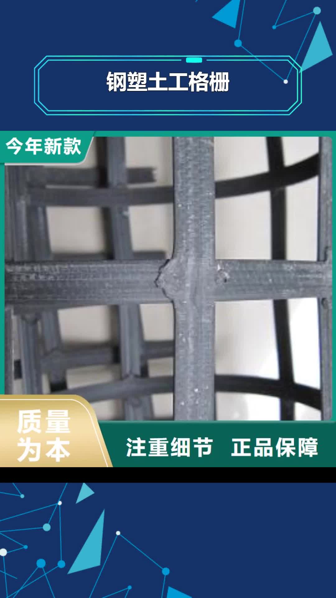 北海 钢塑土工格栅 【单向塑料格栅】定制批发