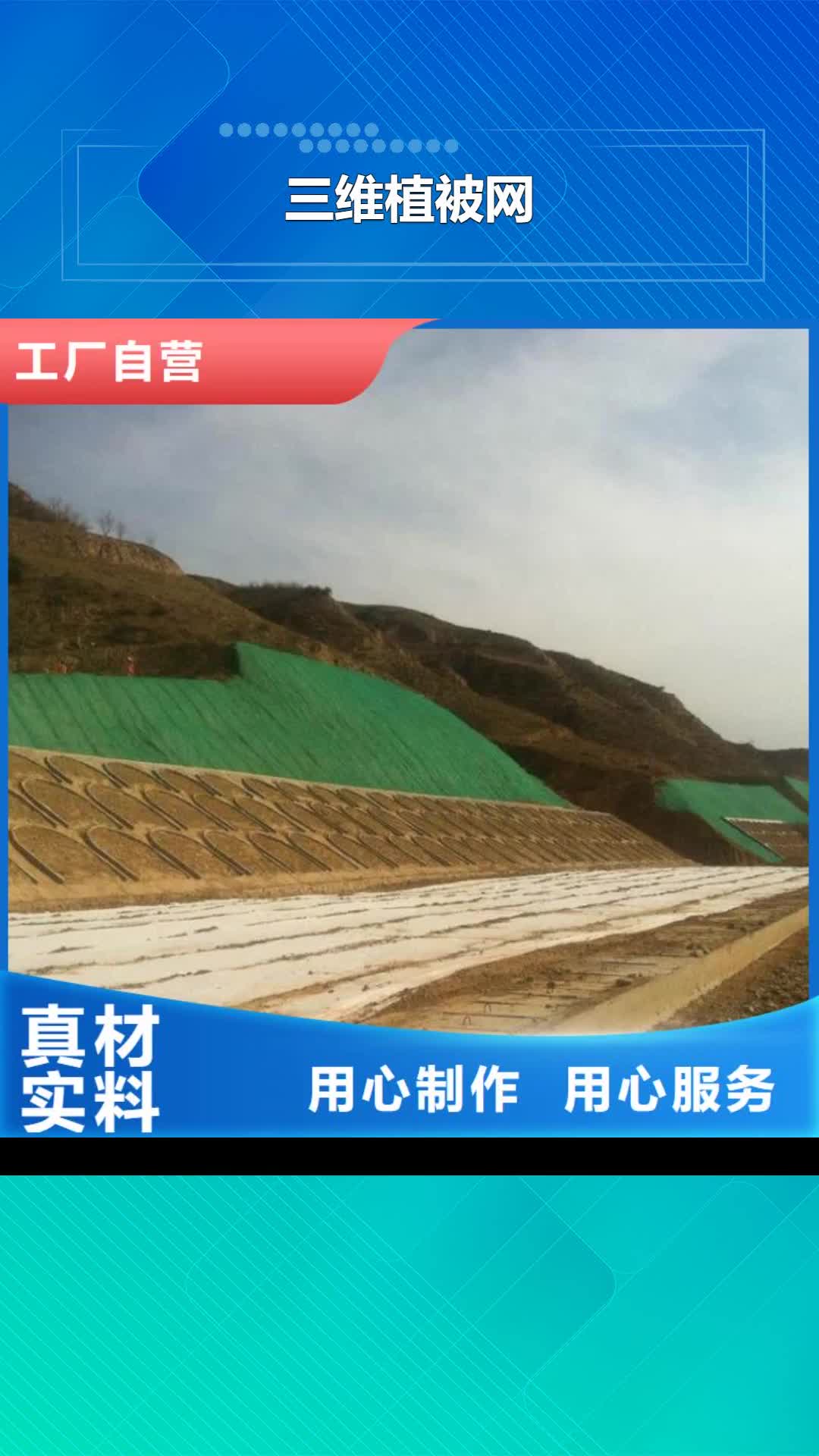 【靖江 三维植被网防水土工布诚信经营质量保证】