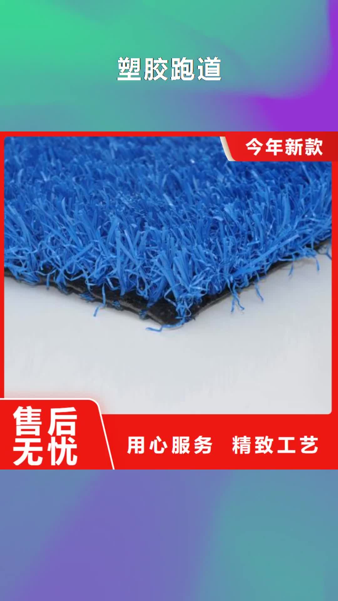 吕梁 塑胶跑道实力厂家
