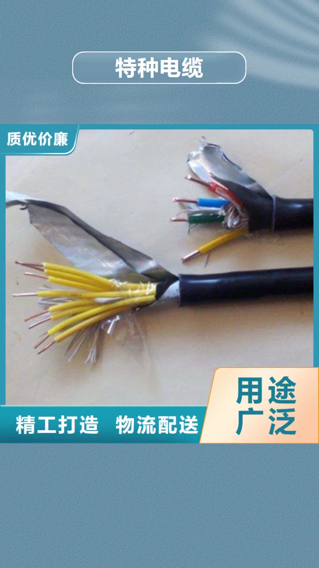 攀枝花 特种电缆 【阻燃电缆厂家】按需定制真材实料