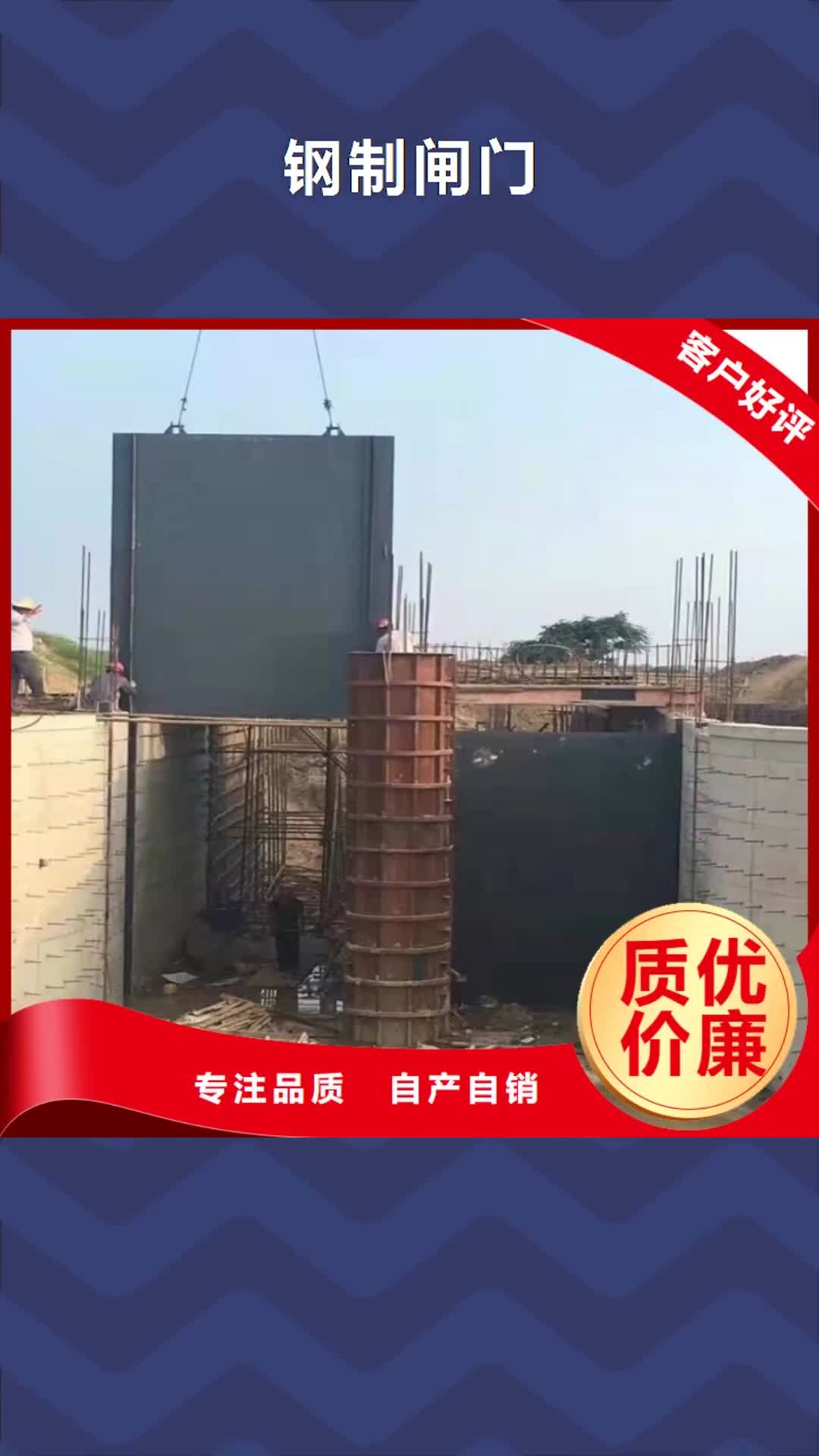 福州 钢制闸门_【定轮钢制闸门】自产自销