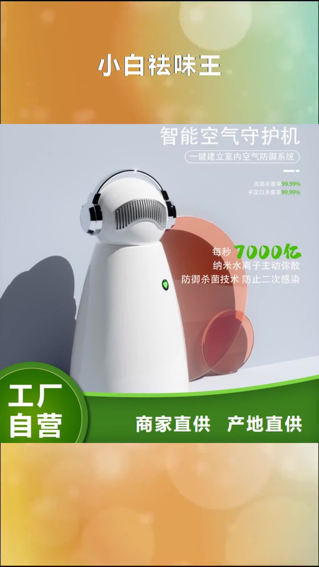 【德州 小白祛味王空气守护工期短发货快】