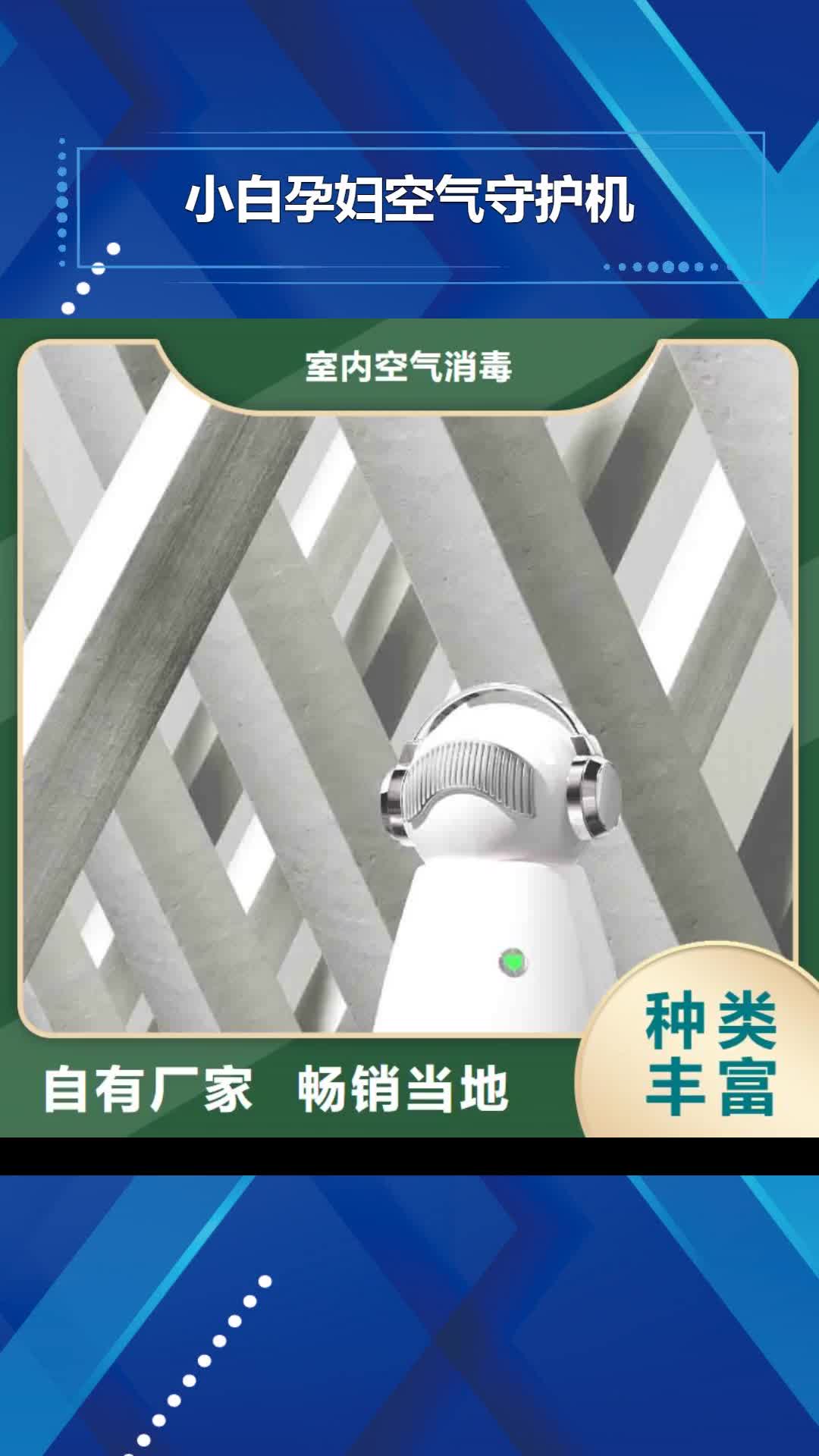 甘孜【小白孕妇空气守护机】 无臭养宠实力见证