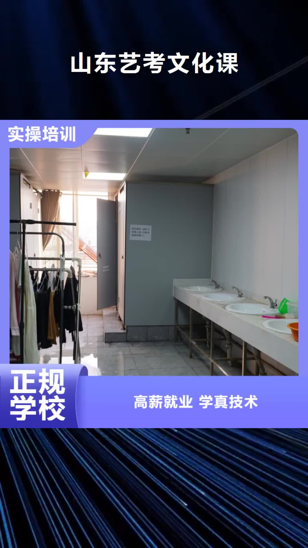【宿州 山东艺考文化课学真本领】
